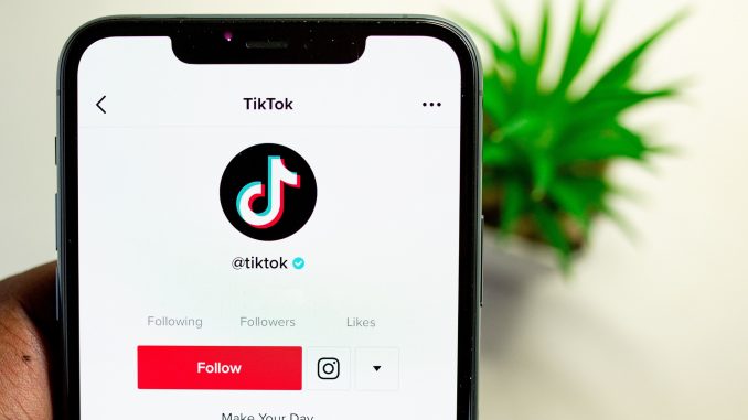 Comment gagner rapidement des followers Tik Tok en 2022 ?